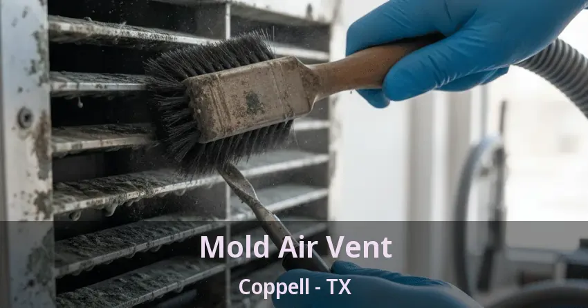 Mold Air Vent Coppell - TX Mold Air Vent Coppell - TX