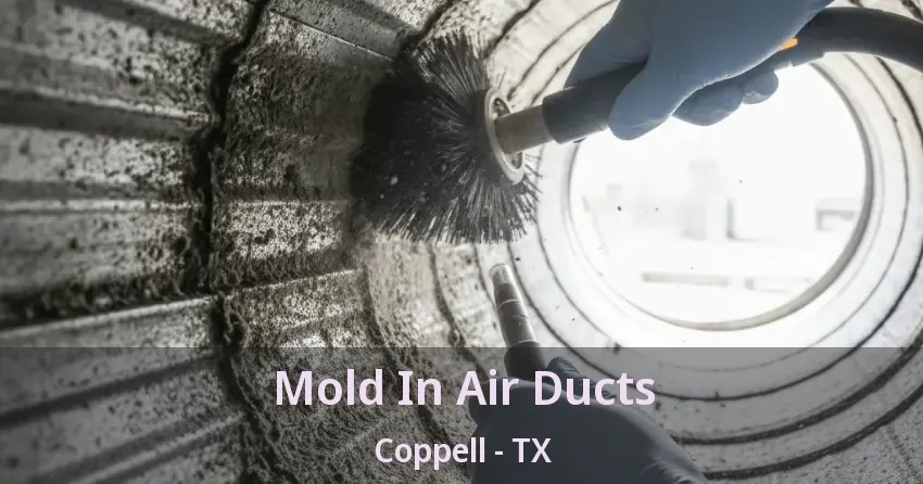 Mold In Air Ducts Coppell - TX