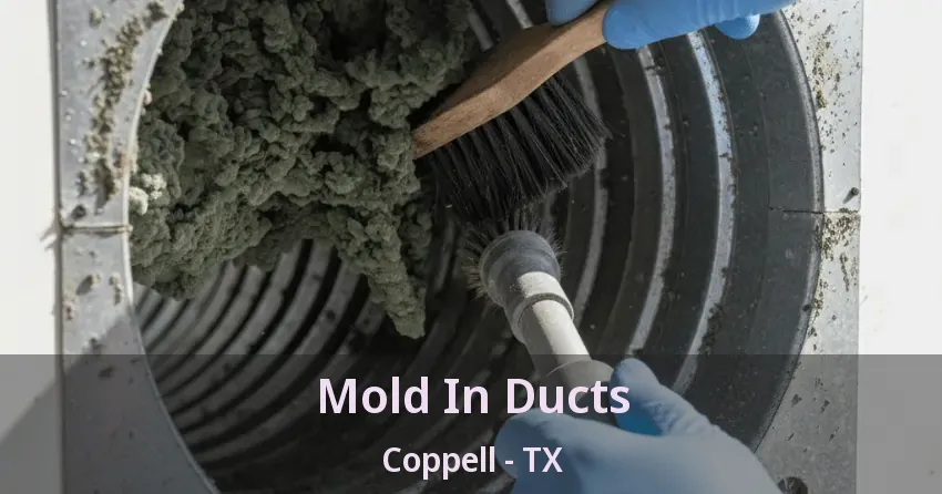 Mold In Ducts Coppell - TX Mold In Ducts Coppell - TX