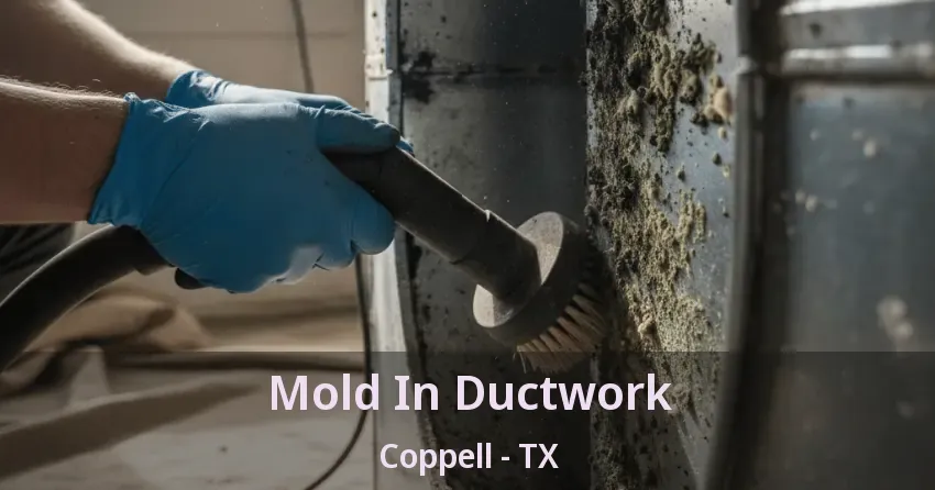 Mold In Ductwork Coppell - TX